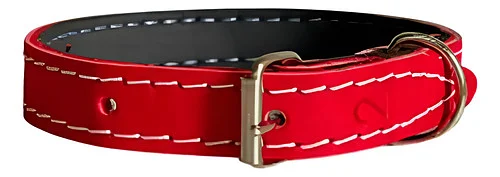 COLEIRA DE COURO Nº10